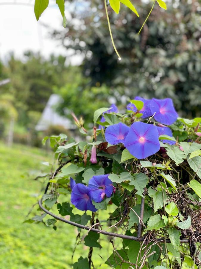 Tip House Villa Khao Kho Bagian luar foto