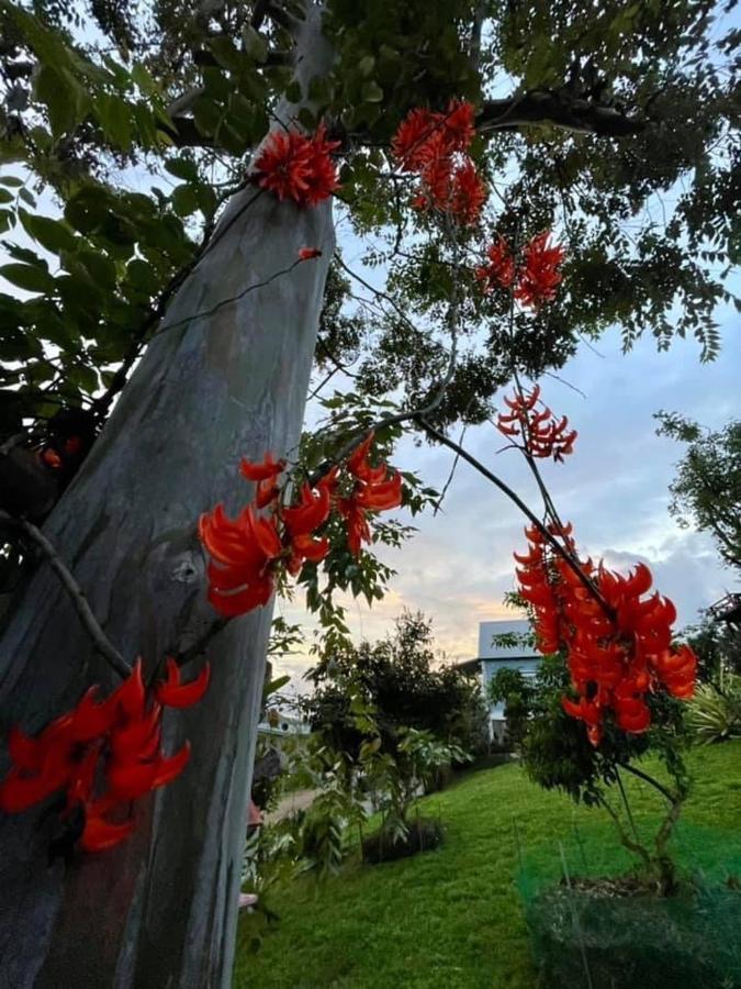 Tip House Villa Khao Kho Bagian luar foto